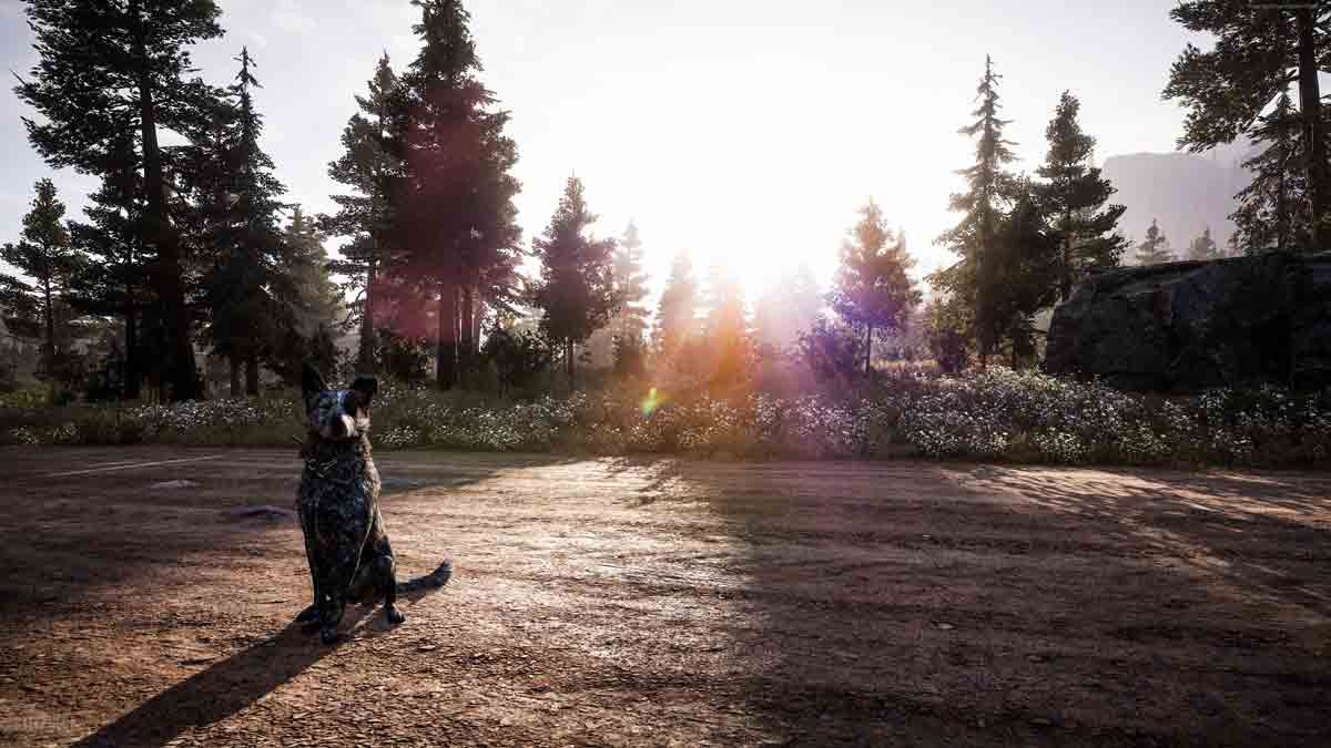 بررسی دنیای بازی Far Cry 5
